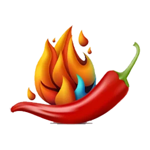 ادویه های چاشنی