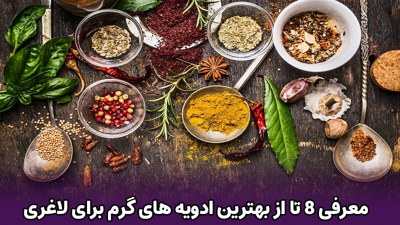 معرفی ۸ تا از بهترین ادویه های گرم برای لاغری