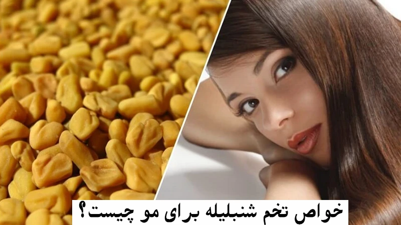 خواص تخم شنبلیله برای مو چیست؟