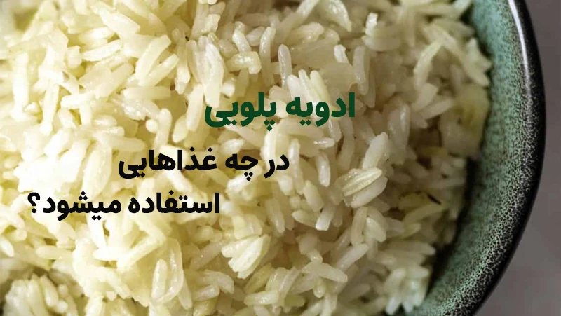 ادویه پلویی در چه غذاهایی استفاده میشود؟