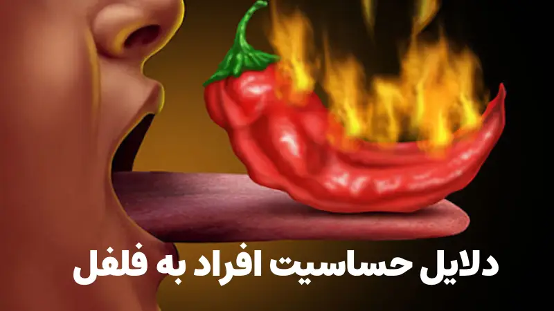 دلایل حساسیت به فلفل