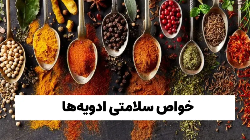 چه ادویه های غذا را خوشمزه میکند